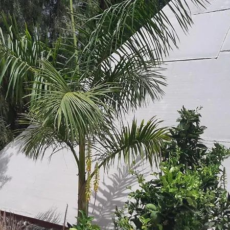 Glamping Tenerife Sur Luxe tent *